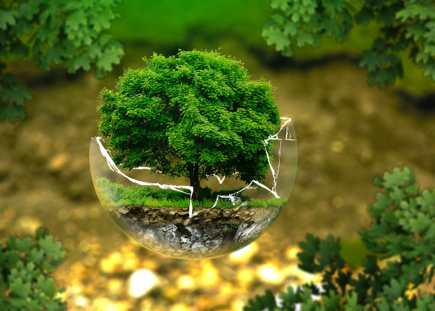 "Single day not sufficient to address critical environment issues" 