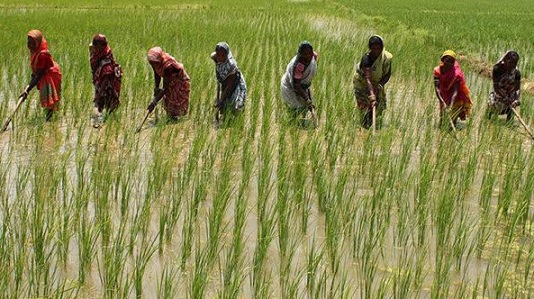PI Industries pitches to help boost Sustainable Agricultural Practises